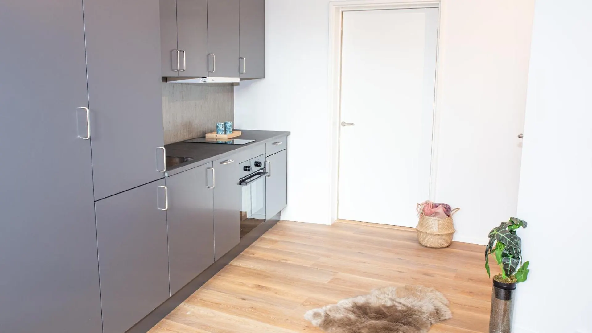 Copenhagen Living Apartment 0*,